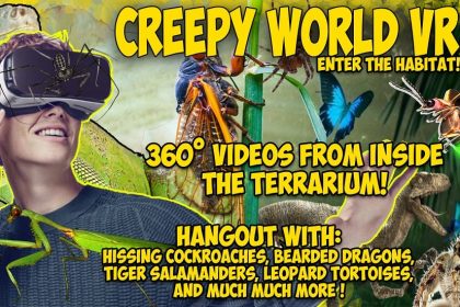 Science Education – Explore the World of Creepy Crawly Wonders with Creepy World VR™