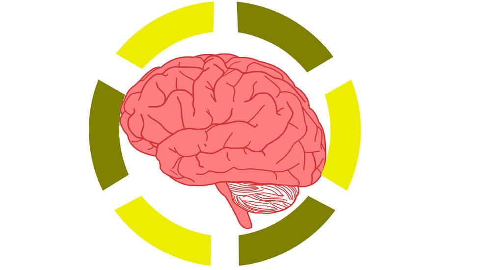 How Has Neuroscience Become a Hot Topic in the Education System?